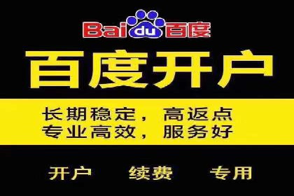 某电商平台充值返点活动用户行为分析